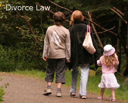 Divorce Law 2 435x350