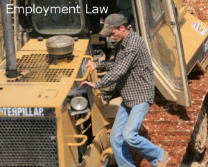 Employment Law 2 435x350